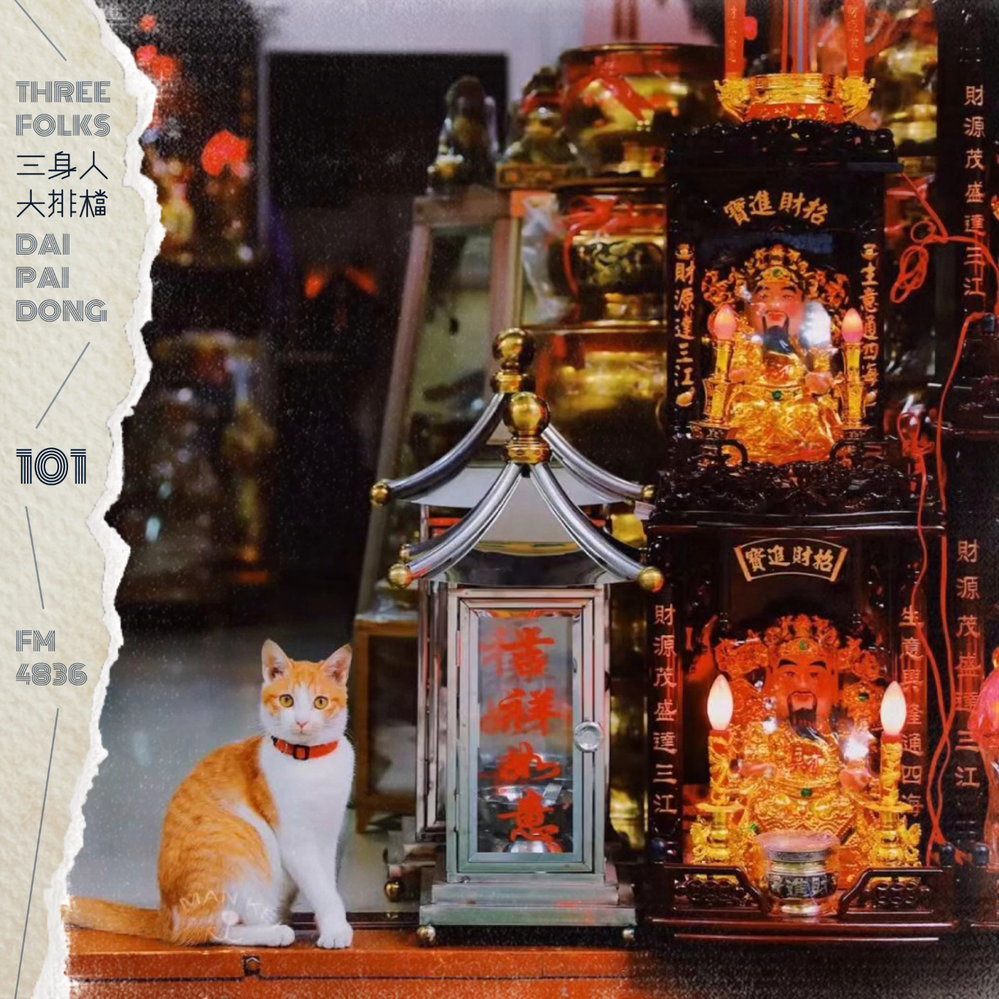 DPD_101 从角落里的猫世相到生活里的纪实影像,照片比记忆更可靠