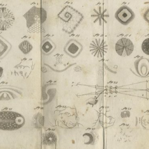 冥想游戏｜看见你的曼陀罗故事