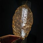 人生如河流
