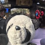 八熊勇敢小宝宝