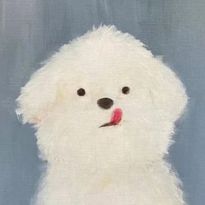 狗狗熊熊胡说八道