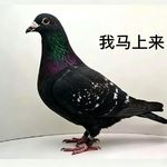 H_lzZz