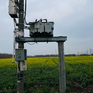 神曲19（净界·第13-15篇）