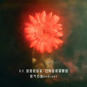 03.梦里的现实：日常梦和清醒梦