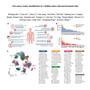 417-Pan-Cancer Single-Cell Atlas