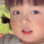 自由鱼222