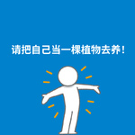260.保护心力|请把自己当一棵植物去养！
