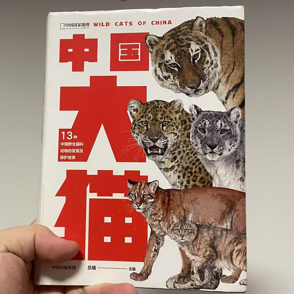 vol.53 好书推荐：《中国大猫》 episode artwork
