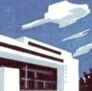 种崖柏