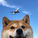 杨韬瀚