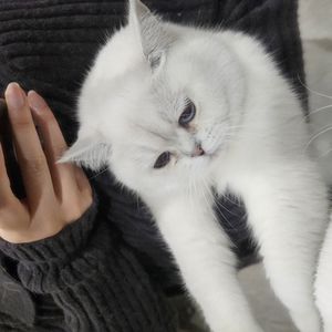 podcaster-avatar