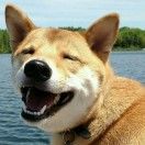 不知道为什么成不了超级英