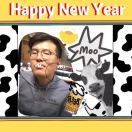 安亚男