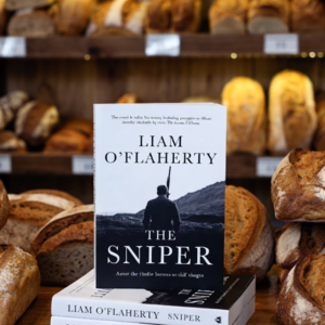 番外篇17|上海高中英语精读世界名著利亚姆《The Sniper》(狙击手)