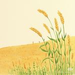 Dorothy一一中医植