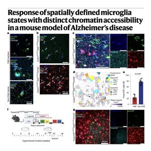 934-Plaque-Associated Microglia in Alzheimer’s Disease
