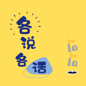 各说各话