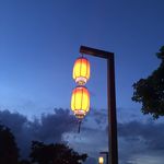 陶冉冉