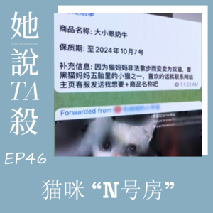46. 猫咪“N号房”