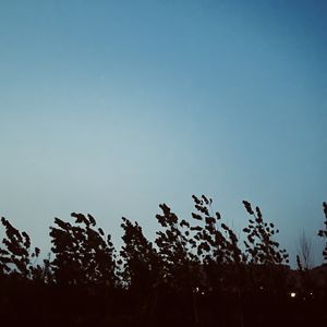podcaster-avatar