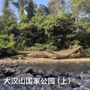 05-马来西亚｜大汉山国家公园（上）