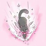 芝士喵酱
