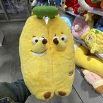 花咪欧尼