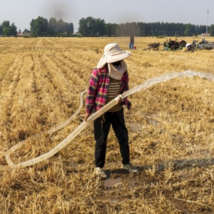 河南多地高温“烤”验,也是极端天气常态化应对大考