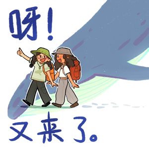 呀！又来了