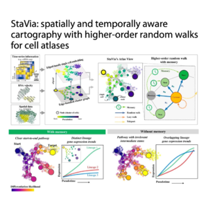 329-StaVia: Temporal Spatially Aware Cell Atlas Cartography