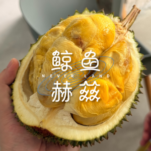 Vol.269 在槟城，人不可能两次吃到同一颗榴莲