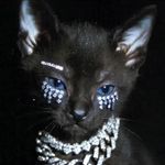 Miaoua
