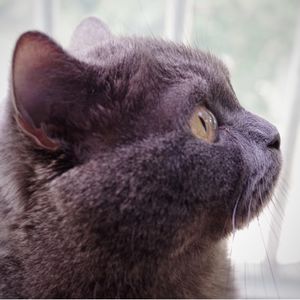 annie的首字母是小写