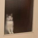 小任小任自由放任