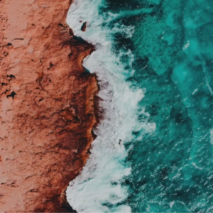 杨定一:无常,可以作为修行的工具 (2026.04.03)