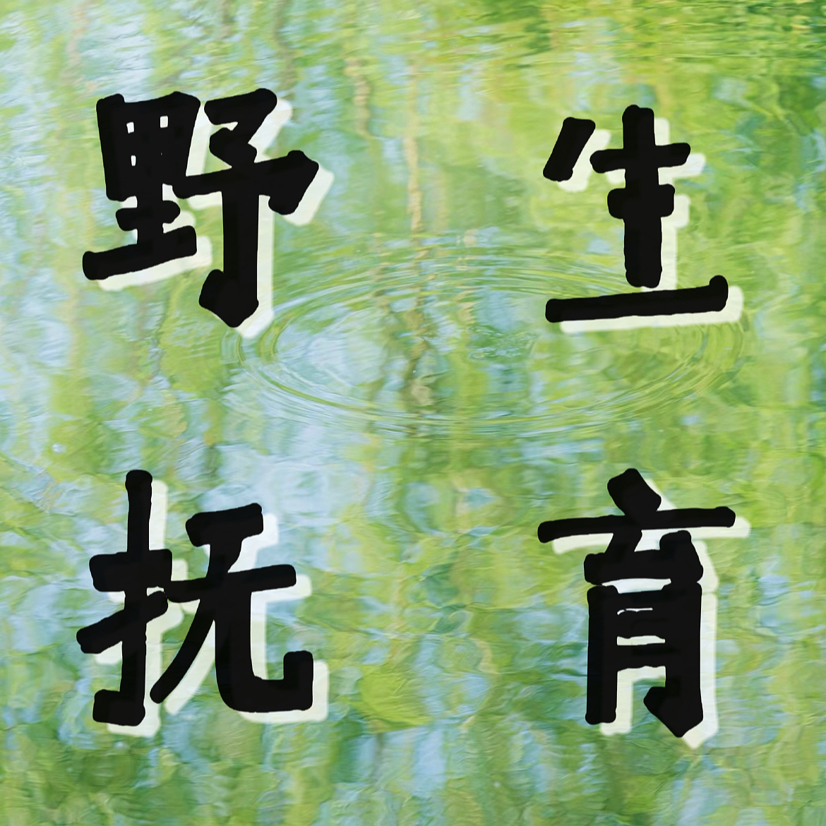 cover of episode 10.「无为而无不为」是最适合中国宝宝体质的成事法则