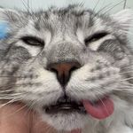 Kero呱
