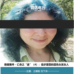14. 亡命之“途”(4)：徒步露营的蓝色头发女人