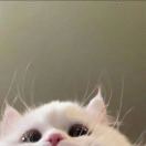 没头脑要开心