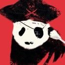 熊_ZrXt