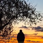 宝玉贵珍藏年年粳稻香