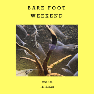vol.156：光脚丫子的音乐周末