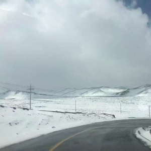 Vol.68 祝大家三八妇女节快乐