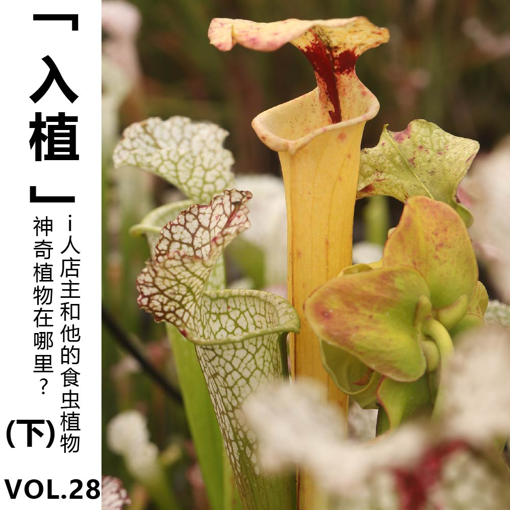 cover of episode Vol.28【入植】神奇植物在哪里？i人店主和他的食虫植物(下)