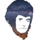 Monkey_xU7s
