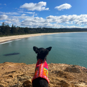 EP6【Josie-人生有很多种可能下集】放弃30w年薪工作赴澳餐厅打工做咖啡，She Stays全球女子换宿项目创始人