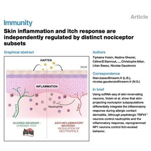 920-Nociceptor Subsets Regulate Skin Inflammation and Itch