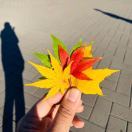 Lee_hjKD