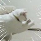 沙雕3D