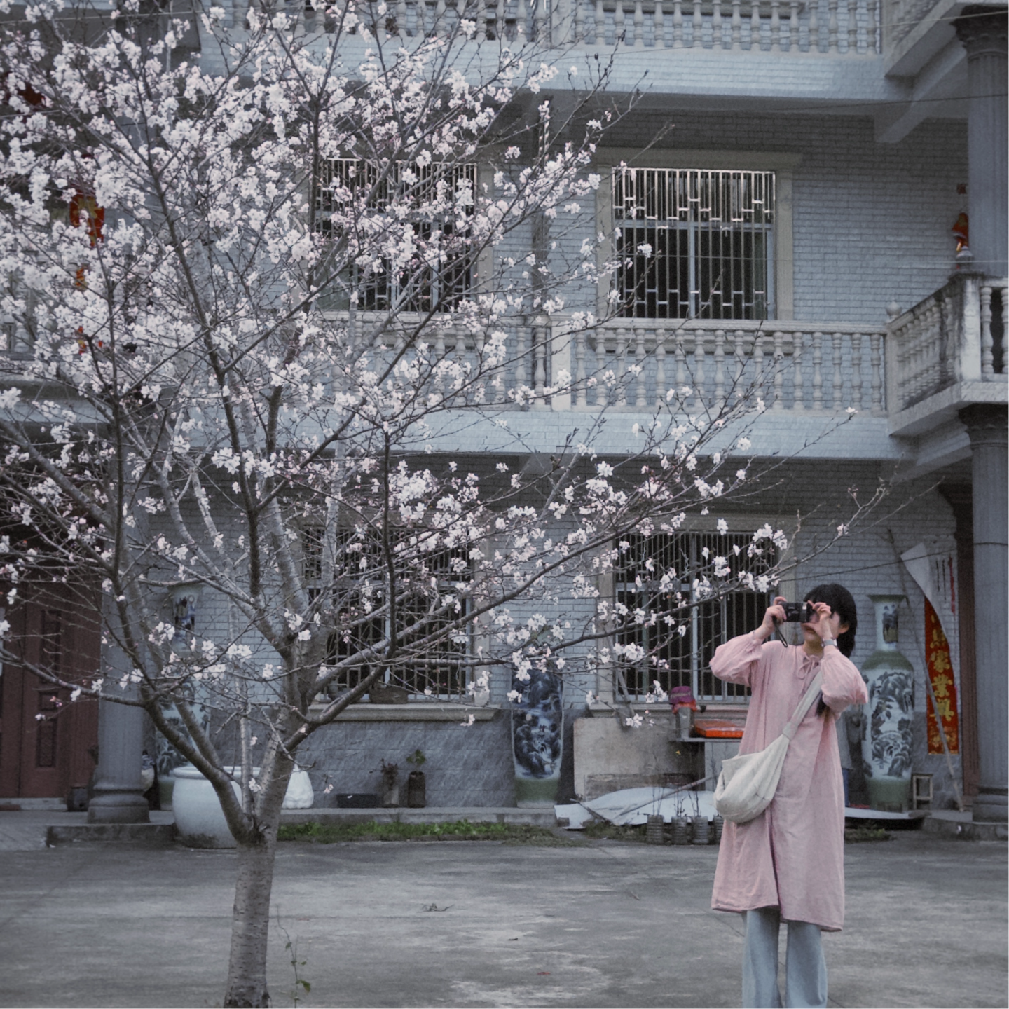 还是需要直播干活来 push 自己 📅 Mar.25 episode artwork
